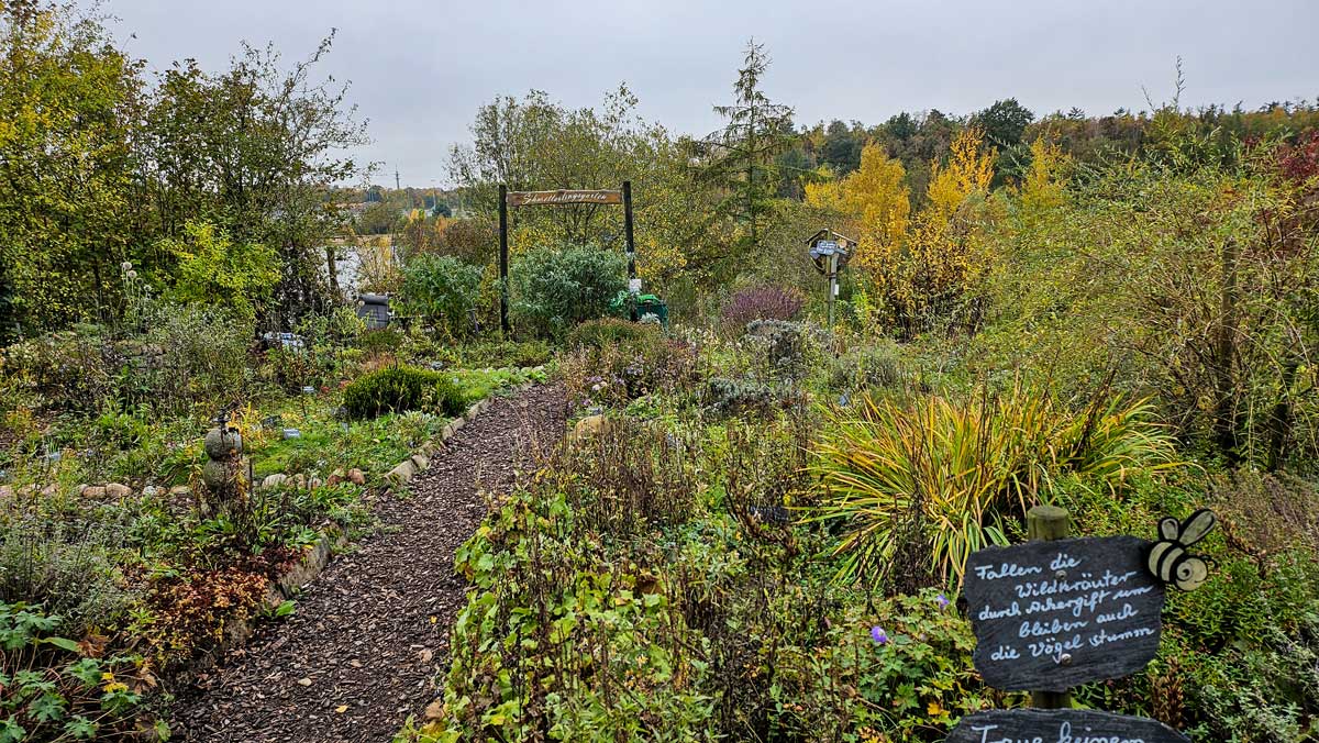 Schmetterlingsgarten