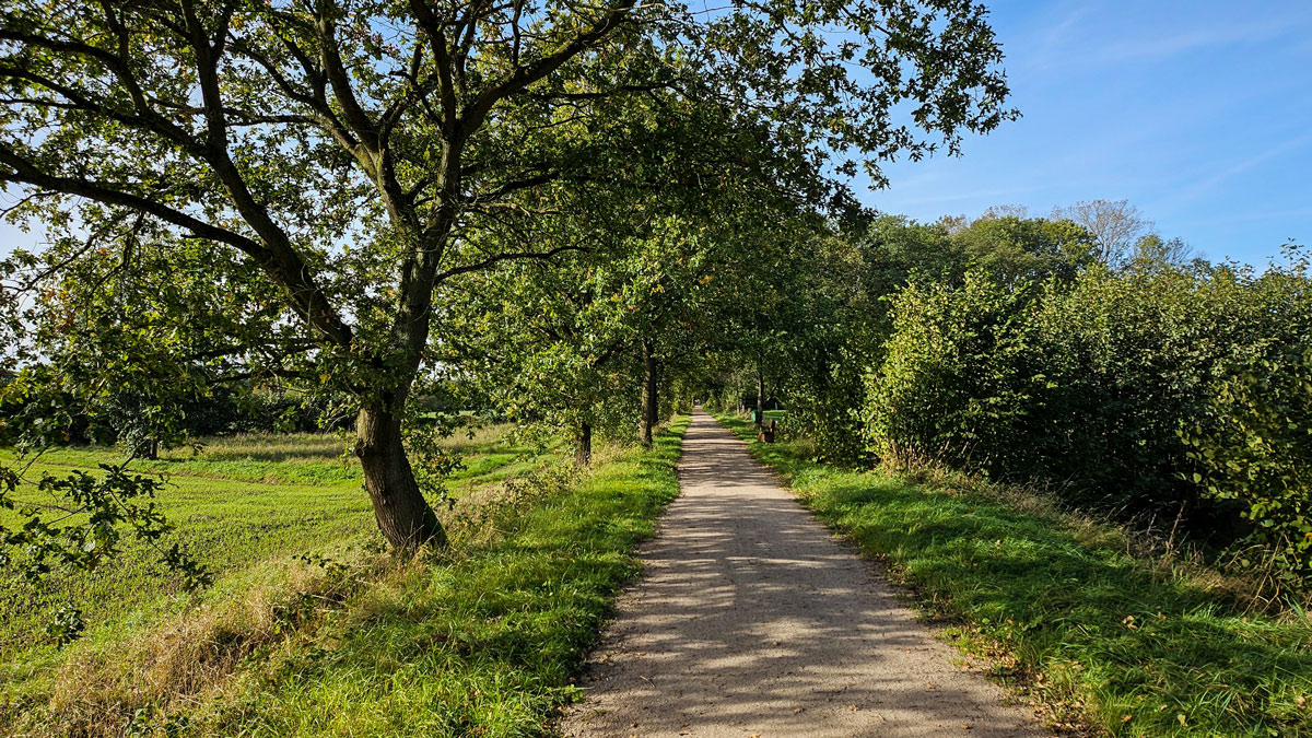 Korl Barmstedt Weg