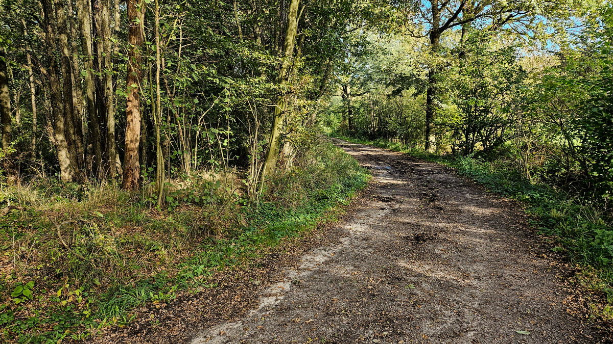 Feldweg