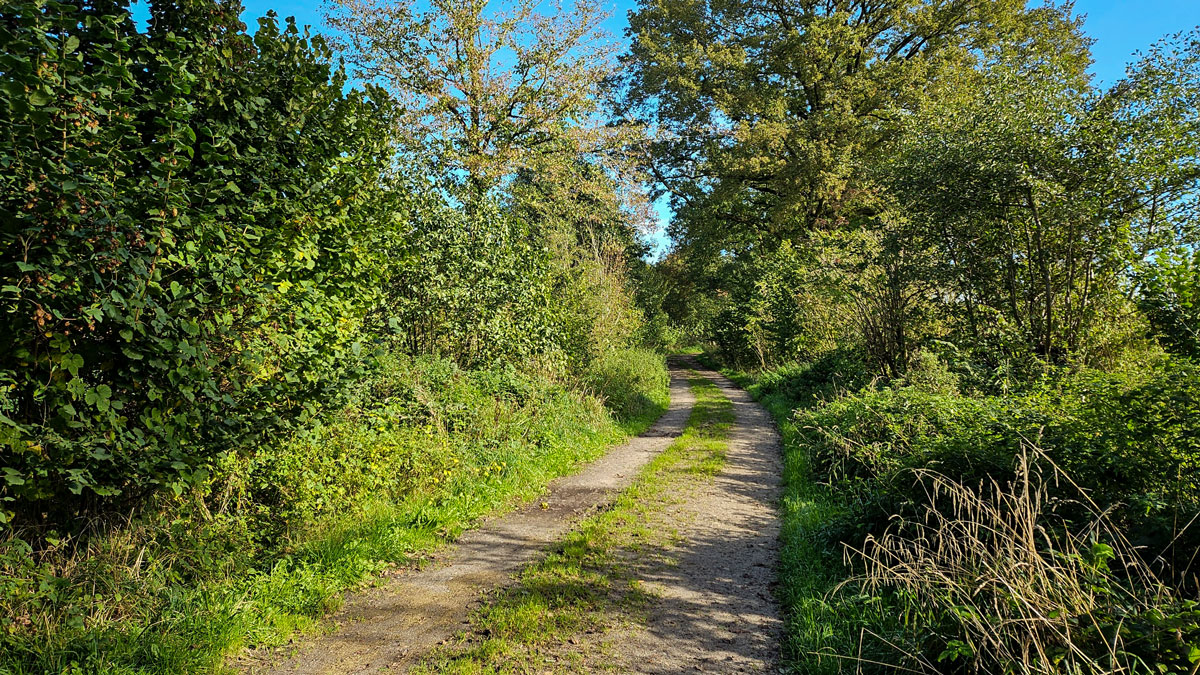 Feldweg