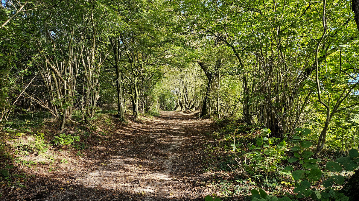 Feldweg