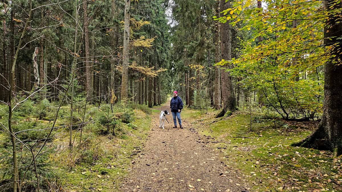 Mit Hund noch schöner