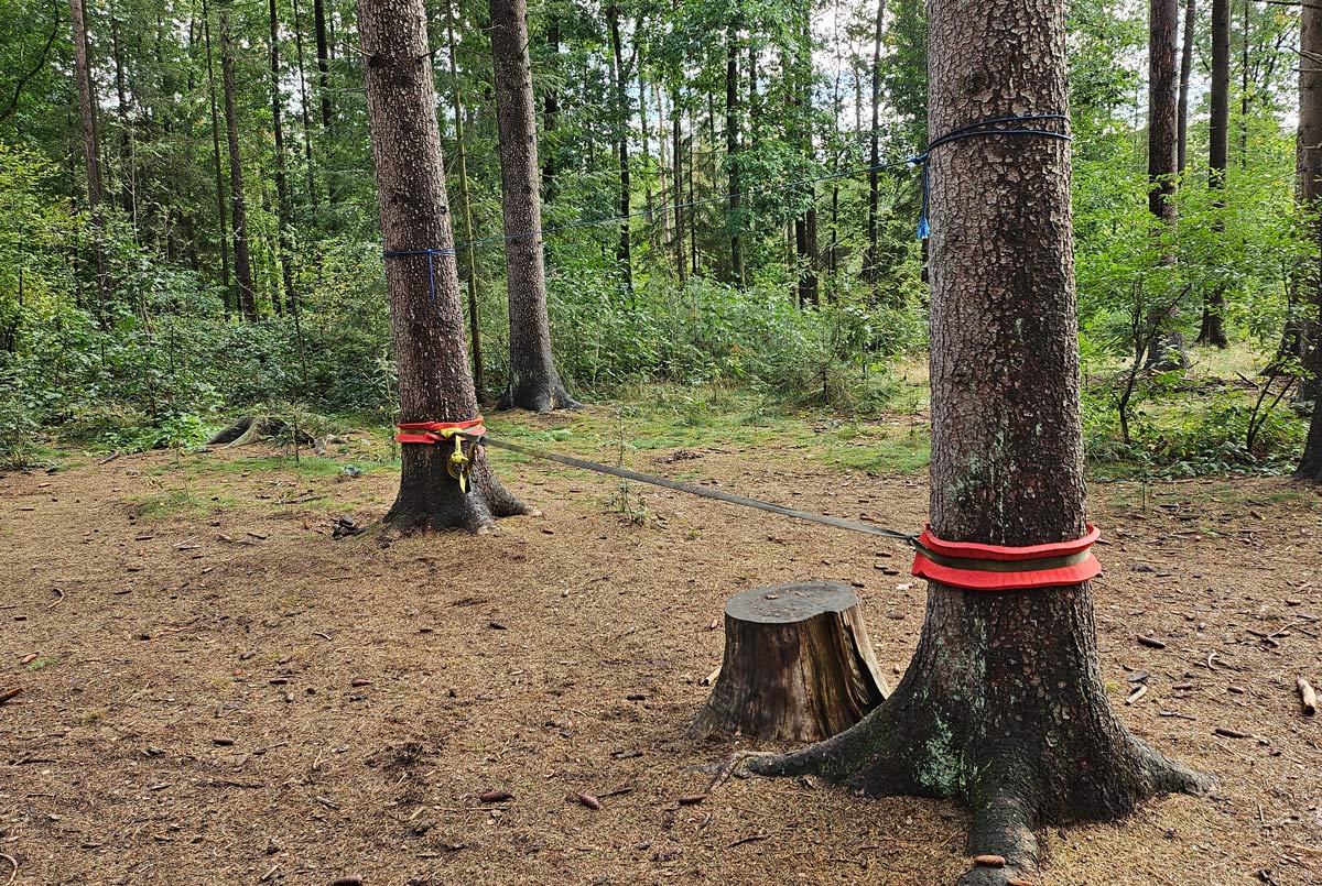 Waldkindergruppe Baumläufer